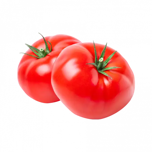 Rezepte